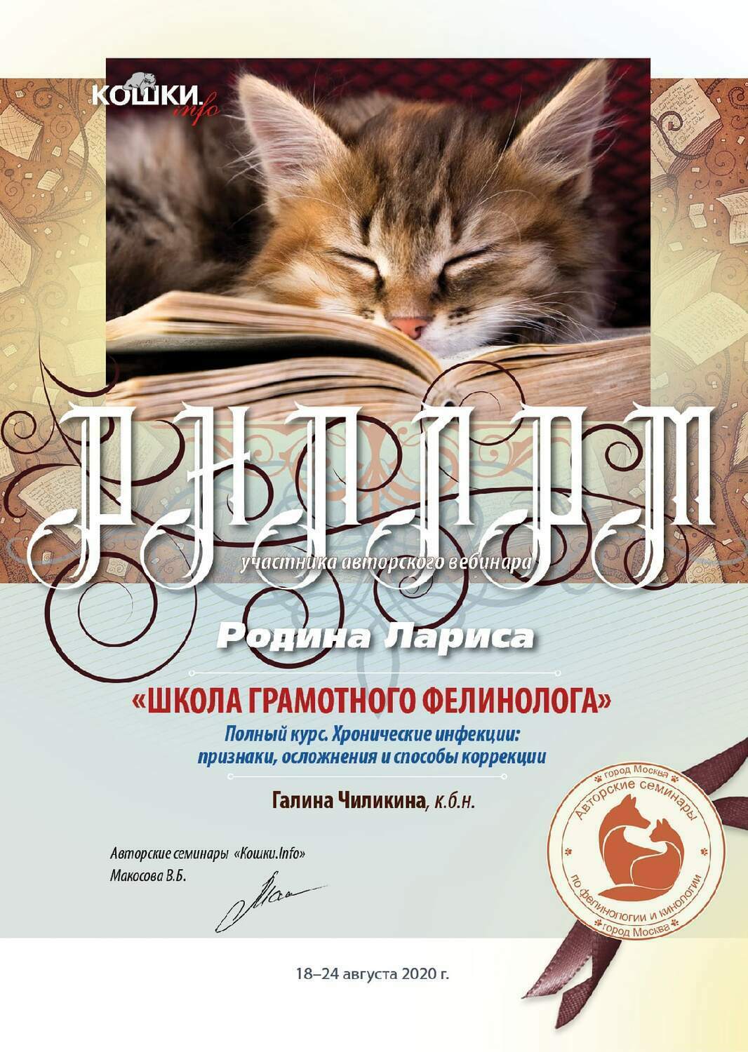 фелинология, питомник эльфов, кошки породы эльф, заводчик кошек, заводчик сфинксов, эльф, сфинкс