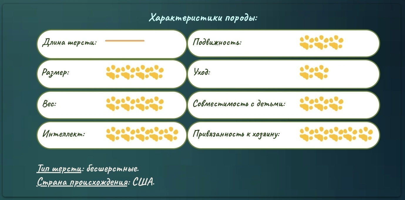 elven drea порода кошек эльф, характеристики породы эльф, кошка эльф, эльф, сфинкс, о породе эльф